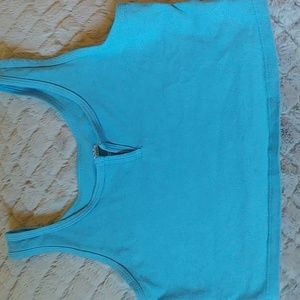 Blue Wild Fable crop top